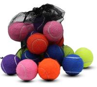 Magicorange Lot de 20 balles de tennis avancées pour animal de compagnie - Avec sac en filet pour un transport facile (mixte)