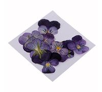 MagiDeal 10 Morceaux Pressés Fleurs Naturelles Séchées Fleur Violette pour Art Scrapbooking Artisanat