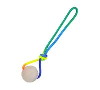 MagiDeal Balle d'entraînement pour Chien avec Corde, Jouet d'exercice et de récompense, Douce et phosphorescente, Cadeau pour Animaux de Compagnie, 6cm