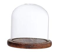 MagiDeal Cloche de en Verre avec Couvercle en Bois de Support de Paysage des Fleurs, Brown E