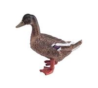 MagiDeal Figurine d'animal de la ferme, modèle réaliste de volaille, objet de décoration, jouet éducatif pour bureau, cadeau d'anniversaire ou autre, Canard Multicolore
