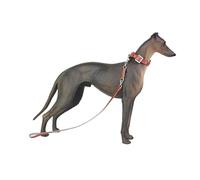 MagiDeal Figurine de chien 1:6, modèle animal, projets de bricolage, accessoires photo, aide pédagogique, objets de collection, figurines d'action, Noir