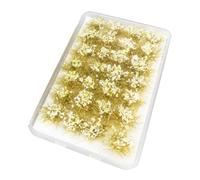 MagiDeal Grass Static Tufts Grass TUFT Resin Modèle de paysage statique pour 1:35 1:48 1:72 1:87 Laysage Layout Sand Table Railroad, Mauvaises Herbes