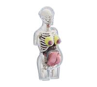 MagiDeal Modèle d'anatomie du Corps Humain, kit d'assemblage Anatomique, Vision 4D pour Enfants, kit de Puzzle Scientifique pour démonstration en