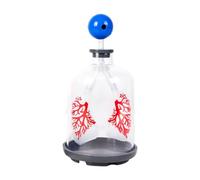 MagiDeal Modèle de Démonstration Pulmonaire Jouet éducatif Réaliste pour Tous Les âges Adolescents Enfants