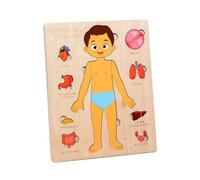 MagiDeal Montessori Puzzles Corps Humain Jouet éducatif en Bois Jouet Corps Humain Planche occupée modèle de Squelette pour Les Enfants d'âge préscolaire en,