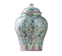 MagiDeal Pot de Gingembre en Porcelaine avec Couvercle, Multifonction, récipient à thé en céramique, Pot de Gingembre en céramique pour thé en Vrac, épices, Styler Un