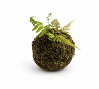 MagiDeal Simulé Conteneur de Mousse Artificielle Dried Fleur Élément de Décoration Micro pour Plantes en Pot Compatible avec Bonsai Convient à Décoration Aménagement Intérieur , Vert Herbe