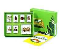 MagiDeal Spécimen d'apprentissage pour Enfants Collection Pédagogique de Nature Échantillons en Résine Boîte avec Plateau Feuilles d'apprentissage Organisation , Délicieuses Noix