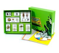 MagiDeal Spécimen d'apprentissage pour Enfants Collection Pédagogique de Nature Échantillons en Résine Boîte avec Plateau Feuilles d'apprentissage Organisation , Coquillages avec De Belles Maisons