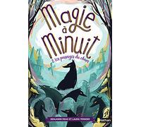 Magie à minuit - Les passages du chaos - Tome 2 - roman dès 9 ans (2)