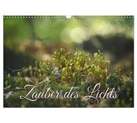 Magie de la lumière (calendrier mural 2026 DIN A3 paysage) calendrier mensuel CALVENDO