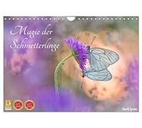 Magie der Schmetterlinge (Wandkalender 2026 DIN A4 quer), CALVENDO Monatskalender: Schmetterlinge verzaubern mit ihrer Leichtigkeit und ihren Farben.