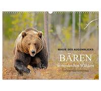 Magie des Augenblicks - Bären in nordischen Wäldern (Wandkalender 2026 DIN A3 quer), CALVENDO Monatskalender: Eindrucksvolle Bildern von den ... fotografiert von Winfried Wisniewski
