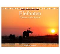 Magie des Augenblicks - Elefanten - Afrikas sanfte Riesen (Tischkalender 2026 DIN A5 quer), CALVENDO Monatskalender: Eindrucksvolle Bilder von den ... Erde, fotografiert von Winfried Wisniewski