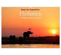 Magie des Augenblicks - Elefanten - Afrikas sanfte Riesen (Wandkalender 2026 DIN A2 quer), CALVENDO Monatskalender: Eindrucksvolle Bilder von den ... Erde, fotografiert von Winfried Wisniewski