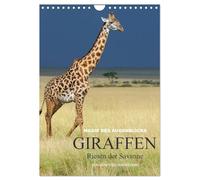 Magie des Augenblicks - Giraffen - Riesen der Savanne (Wandkalender 2026 DIN A4 hoch), CALVENDO Monatskalender: Eindrucksvolle Bilder von Giraffen, ... Savanne, fotografiert von Winfried Wisniewski