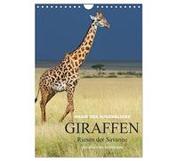 Magie des Augenblicks - Giraffen - Riesen der Savanne (Wandkalender 2026 DIN A4 hoch), CALVENDO Monatskalender: Eindrucksvolle Bilder von Giraffen, ... Savanne, fotografiert von Winfried Wisniewski