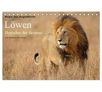Magie des Augenblicks - Löwen - Herrscher der Savanne (Tischkalender 2026 DIN A5 quer), CALVENDO Monatskalender: Eindrucksvolle Bilder von der der ... fotografiert von Winfried Wisniewski