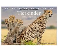 Magie des Augenblicks - Tierkinder - klein, aber wild (Tischkalender 2026 DIN A5 quer), CALVENDO Monatskalender: Winfried Wisniewski hat mit der ... Leben der Tierkinder geschossen.