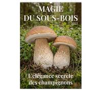 MAGIE DU SOUS-BOIS (Calendrier mural 2027 DIN A2 horizontal), CALVENDO calendrier mensuel: L'élégance secrète des champignons