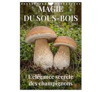 MAGIE DU SOUS-BOIS (Calendrier mural 2027 DIN A4 horizontal), CALVENDO calendrier mensuel: L'élégance secrète des champignons