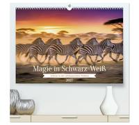 Magie in Schwarz-Weiß (hochwertiger Premium Wandkalender 2027 DIN A2 quer), Kunstdruck in Hochglanz: Zebras in der afrikanischen Wildnis.