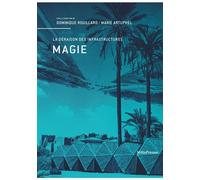 Magie: La déraison des infrastructures - Dominique Rouillard - Metispresses - broché - Essai