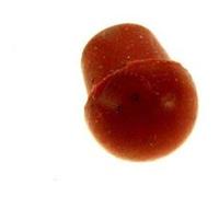 Magimix Bouton De Soupape Ref: 502226 G