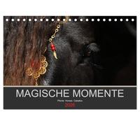 Magische Momente - Pferde Horses Caballos (Tischkalender 2026 DIN A5 quer), CALVENDO Monatskalender: Die Magie der Pferde. Fotografien vor schwarzem Hintergrund