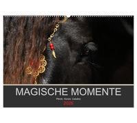 Magische Momente - Pferde Horses Caballos (Wandkalender 2026 DIN A2 quer), CALVENDO Monatskalender: Die Magie der Pferde. Fotografien vor schwarzem Hintergrund