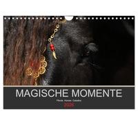 Magische Momente - Pferde Horses Caballos (Wandkalender 2026 DIN A4 quer), CALVENDO Monatskalender: Die Magie der Pferde. Fotografien vor schwarzem Hintergrund
