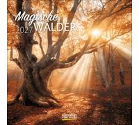 Magische Wälder 2027: Broschürenkalender mit Ferienterminen. Format: 30 x 30 cm