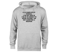 MAGITONE I Am Completley Normal I Am Not Sweat à Capuche Unisexe Gris Pullover Unisex Grey Hoodie Genderless Pullover