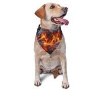 Magma-Melt Écharpe triangulaire pour chien et chat Motif ours