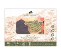 Magnani 1404 Italia Cold Press Lot de 20 feuilles de papier aquarelle 100 % coton, 25,4 x 35,6 cm, 63,5 kg, sans acide, résistant aux UV, taille végétalienne, fabriqué en Italie