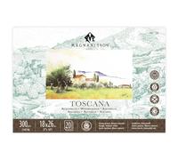 Magnani 1404 Toscana Lot de 20 feuilles de papier aquarelle 100 % coton, 17,8 x 25,4 cm, 63,5 kg, sans acide, résistant aux UV, format végétalien, fabriqué en Italie