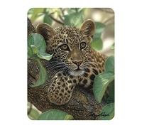 Magnet 3D LiveLife - Calins d'arbres de Deluxebase. Aimant lenticulaire Puissant pour frigo 3D Félin. Magnet décoratif Enfants & Adultes avec Illustrations sous Licence Artiste renommé Collin Bogle