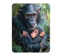 Magnet 3D LiveLife - Calins Mignons de Deluxebase. Aimant lenticulaire Puissant pour frigo 3D Chimpanzé. Magnet décoratif Enfants & Adultes avec Illustrations Licence Artiste renommé David Penfound