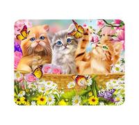Magnet 3D LiveLife - Chatons Rigolos de Deluxebase. Aimant lenticulaire Puissant pour frigo 3D Chat. Magnet décoratif Enfants & Adultes avec Illustrations sous Licence Artiste renommé Michael Searle