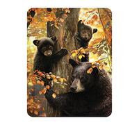 Magnet 3D LiveLife - L'attention d'une Mère de Deluxebase. Aimant lenticulaire Puissant pour frigo 3D Ours. Magnet décoratif Enfants & Adultes Illustration sous Licence Artiste renommé David Penfound