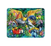 Magnet 3D LiveLife - Oiseau des Tropiques de Deluxebase. Aimant lenticulaire Puissant pour frigo 3D. Magnet décoratif Enfants & Adulte avec Illustration Licence Artiste renommé Steven Michael Gardner