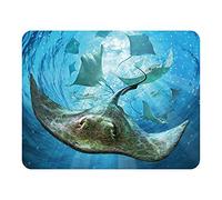 Magnet 3D LiveLife - Raies de Deluxebase. Aimant lenticulaire Puissant pour frigo 3D Océan. Magnet décoratif Enfants & Adultes avec Illustrations sous Licence Artiste renommé Jerry LoFaro