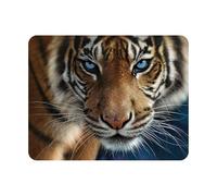 Magnet 3D LiveLife - Yeux Bleus de Deluxebase. Aimant lenticulaire Puissant pour frigo 3D Tigre. Magnet décoratif Enfants & Adultes avec Illustrations sous Licence Artiste renommé Collin Bogle