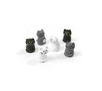 Magnet Expert Aimants CAT. Jeu de 6. assorties
