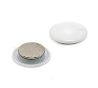 Magnet Expert Blanc haute puissance Panneau/planification aimant (40 mm de diamètre x 11 mm de haut) (pack de 2)