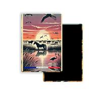 Magnet Frigo Ville Touristique de France Style Affiche rétro - 90 Modèles au Choix - Souvenirs Vacances - Aimant Réfrigérateur - Cadeau Original (Camargue couché de Soleil)