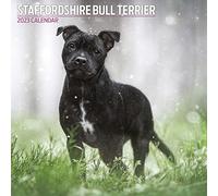 Magnet & Steel Bull Terrier Calendrier traditionnel 2023 Multicolore 30 x 30 cm