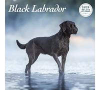 Magnet & Steel Calendrier 2023 de luxe, noir, multicolore