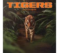 Magnet & Steel Calendrier 2023, multicolore